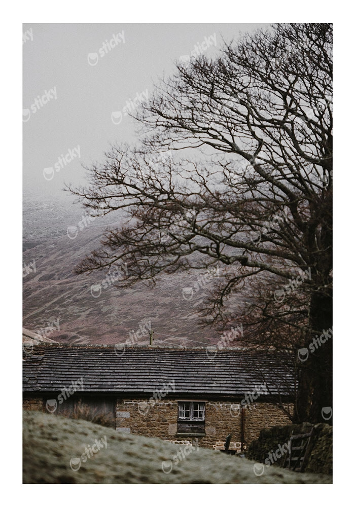 Poster RUSTIC FARMHOUSE MOUNTAIN LIFE 7