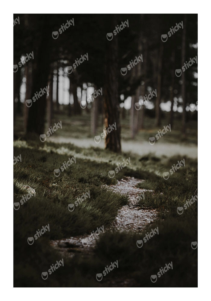 Poster RUSTIC FARMHOUSE MOUNTAIN PATH