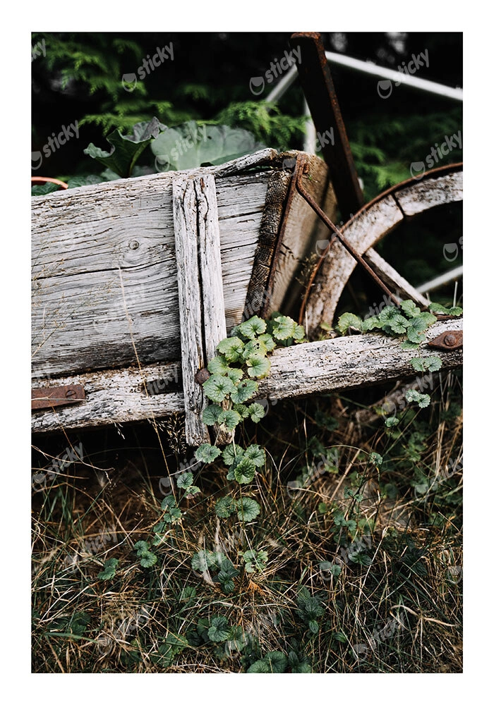 Poster RUSTIC FARMHOUSE OLD CART