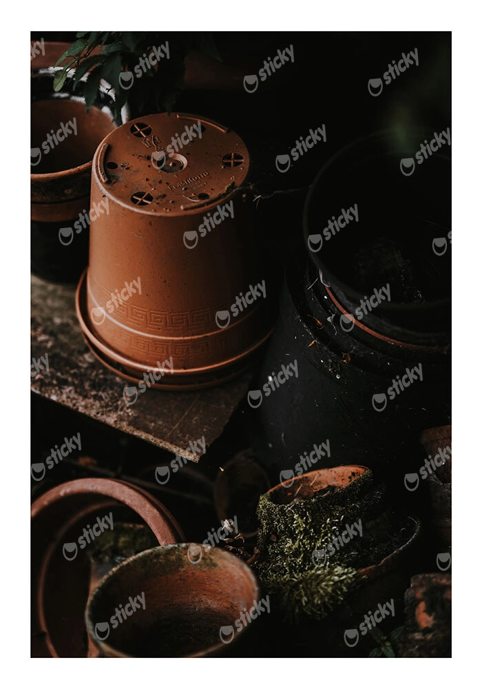 Poster RUSTIC FARMHOUSE POTS 2