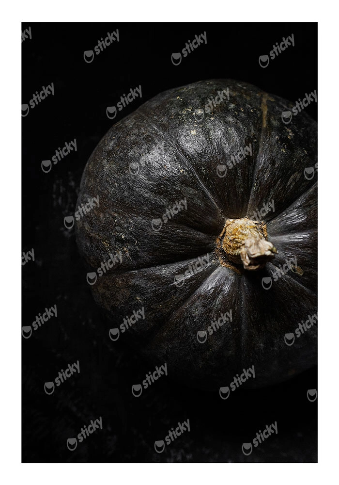 Poster RUSTIC FARMHOUSE PUMPKIN 2