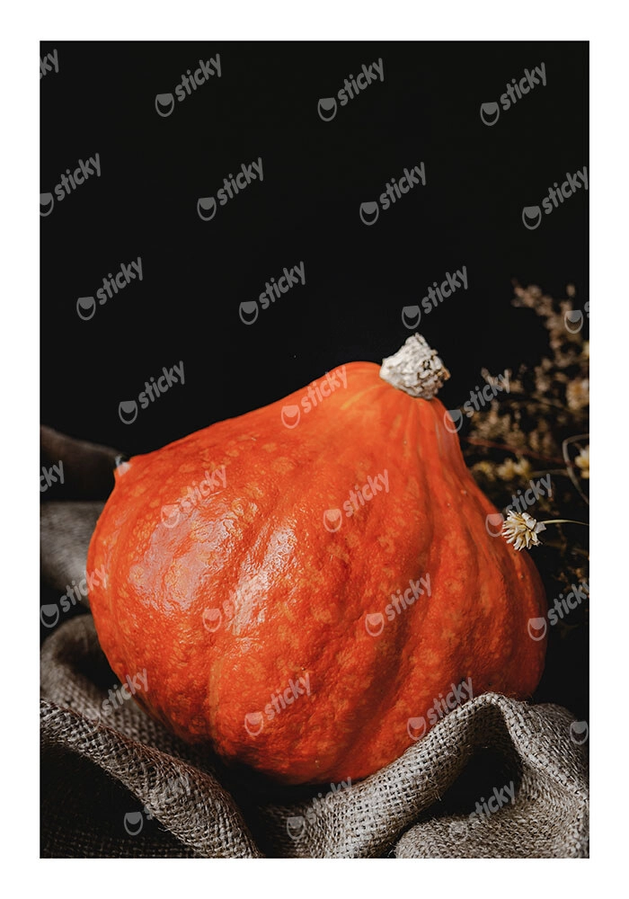 Poster RUSTIC FARMHOUSE PUMPKIN