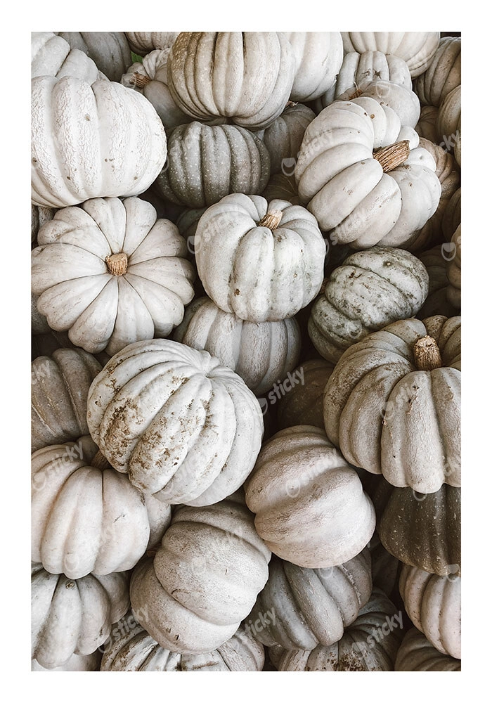 Poster RUSTIC FARMHOUSE PUMPKINS 2