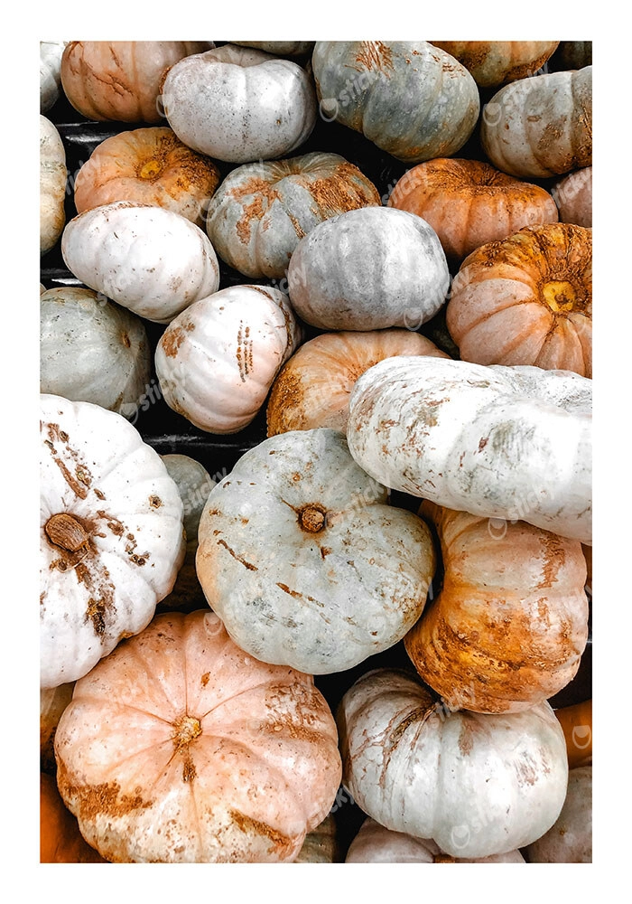 Poster RUSTIC FARMHOUSE PUMPKINS 3