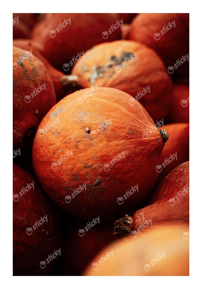 Poster RUSTIC FARMHOUSE PUMPKINS