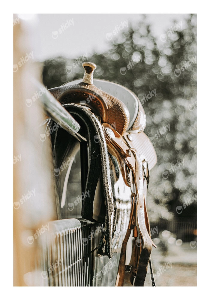 Poster RUSTIC FARMHOUSE SADDLE 2