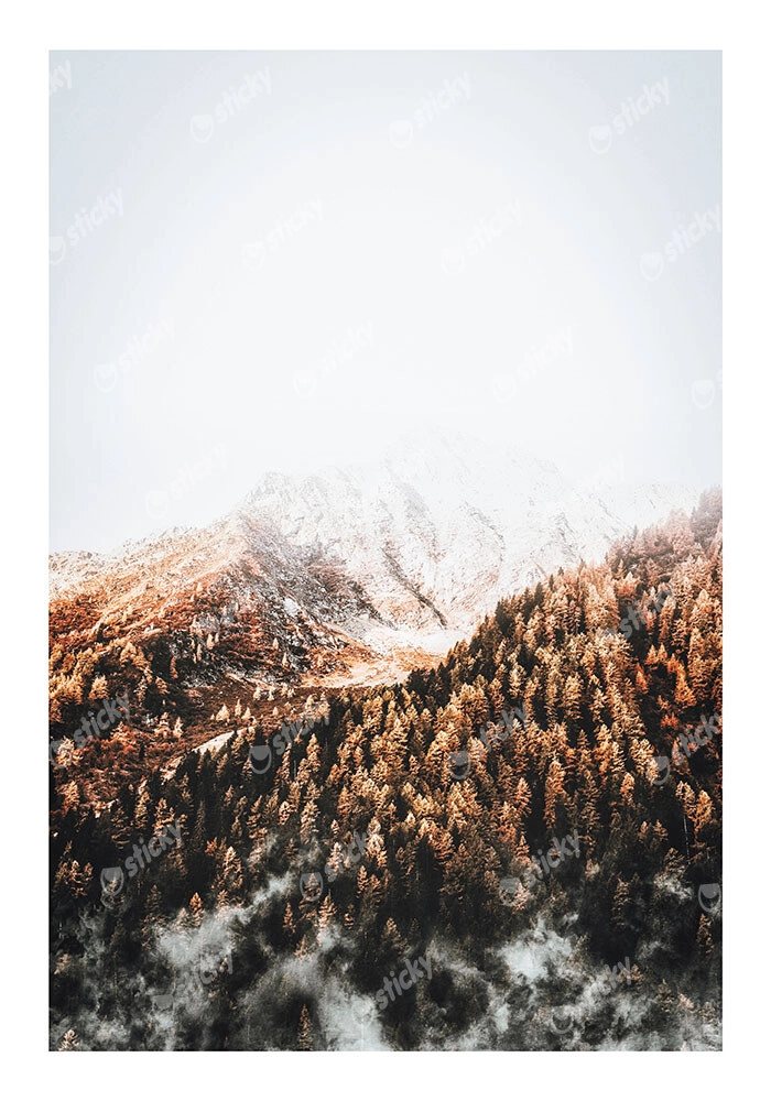 Poster RUSTIC FARMHOUSE SNOWY MOUNTAIN 2