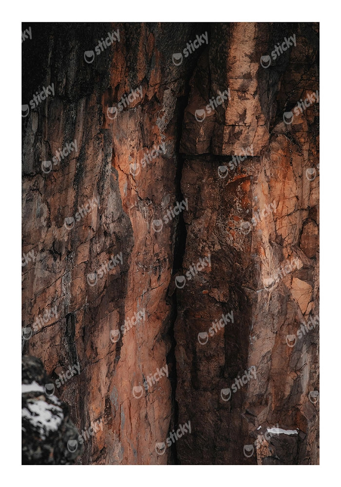 Poster RUSTIC FARMHOUSE TREE BARK 3