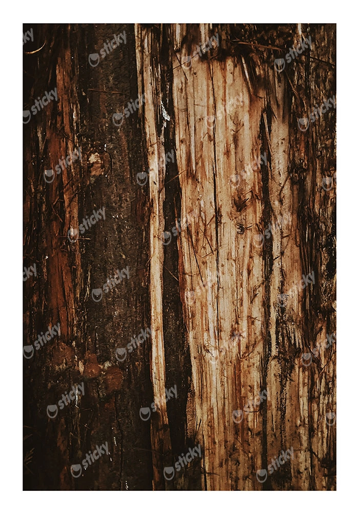 Poster RUSTIC FARMHOUSE TREE BARK 4