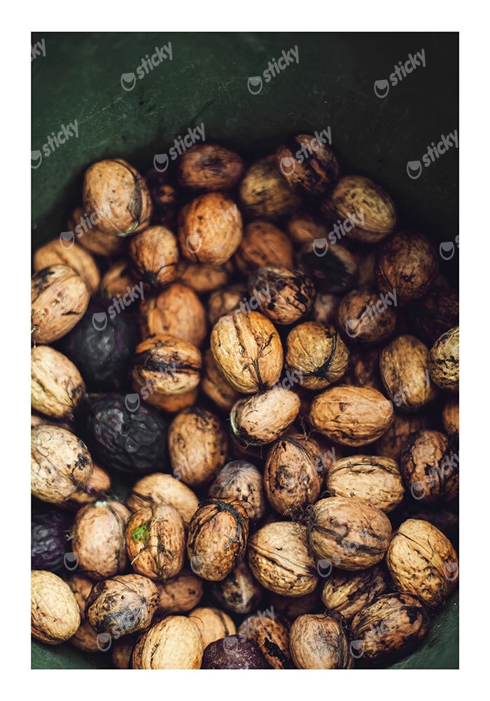 Poster RUSTIC FARMHOUSE WALNUTS