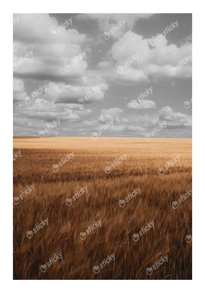 Poster RUSTIC FARMHOUSE WHEAT FIELD 4