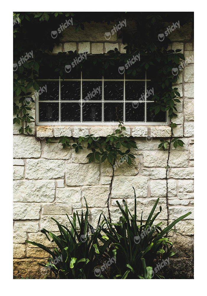 Poster RUSTIC FARMHOUSE WINDOW 8