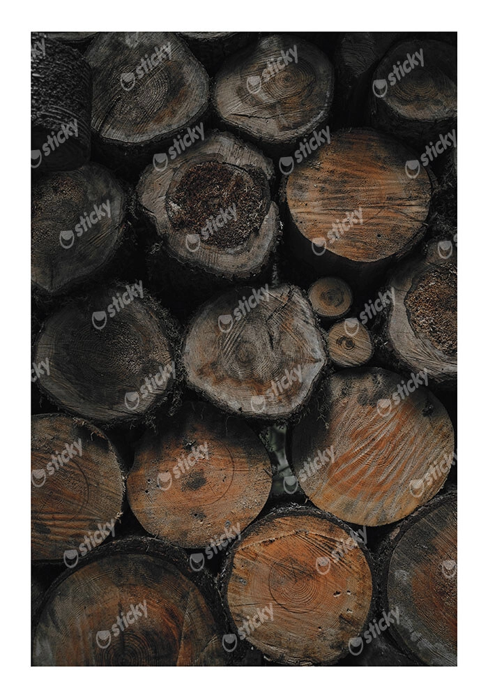 Poster RUSTIC FARMHOUSE WOOD LOGS 2