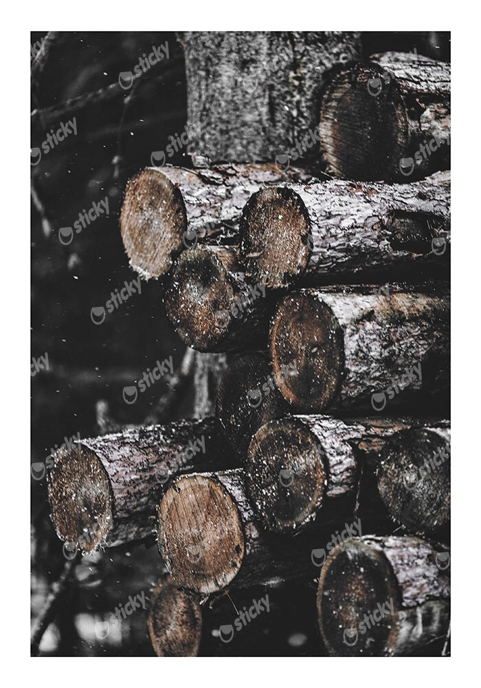 Poster RUSTIC FARMHOUSE WOOD LOGS 5