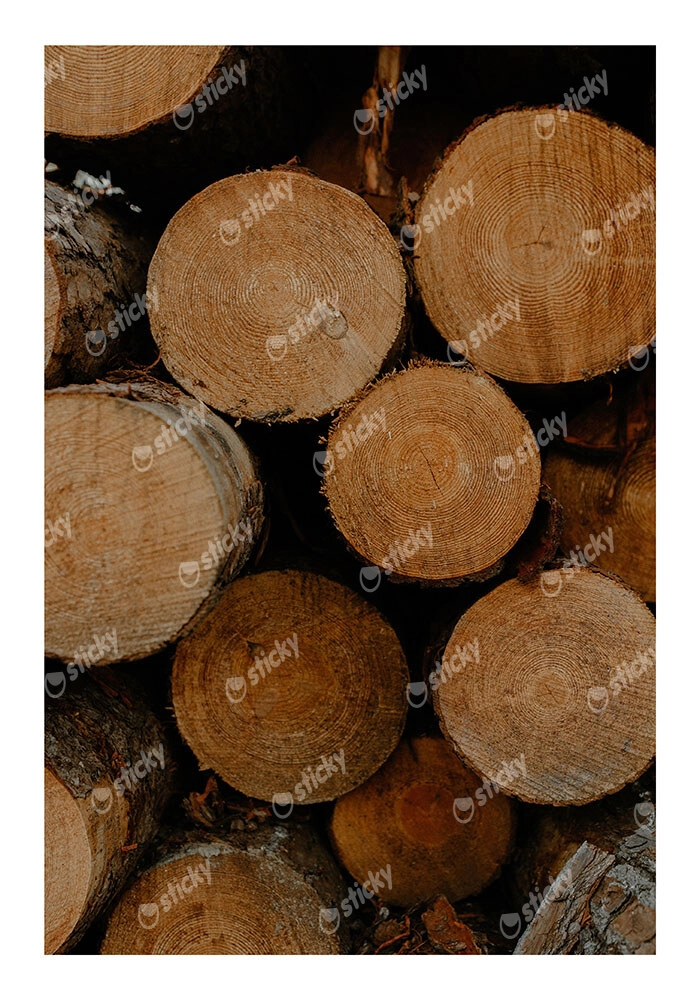 Poster RUSTIC FARMHOUSE WOOD LOGS 8
