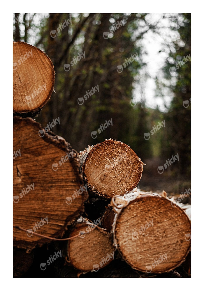 Poster RUSTIC FARMHOUSE WOOD LOGS 9