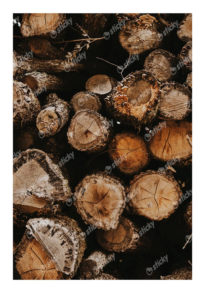 Poster RUSTIC FARMHOUSE WOOD LOGS 11