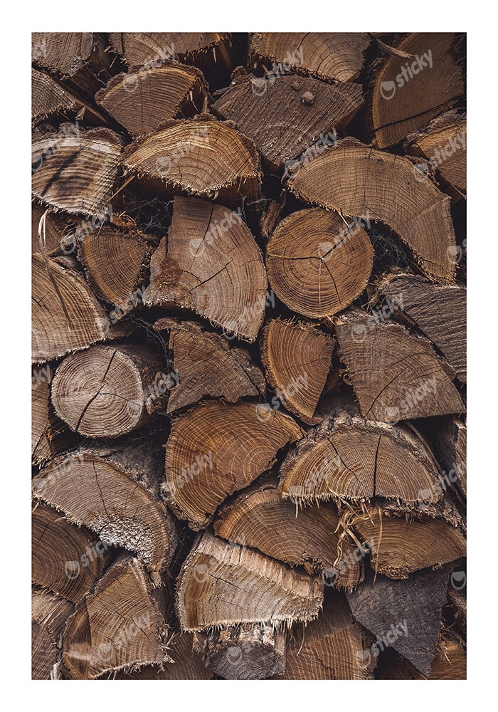 Poster RUSTIC FARMHOUSE WOOD LOGS 12