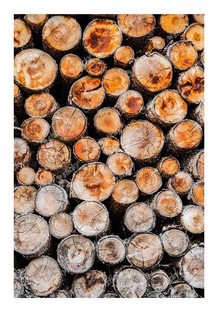 Poster RUSTIC FARMHOUSE WOOD LOGS 13