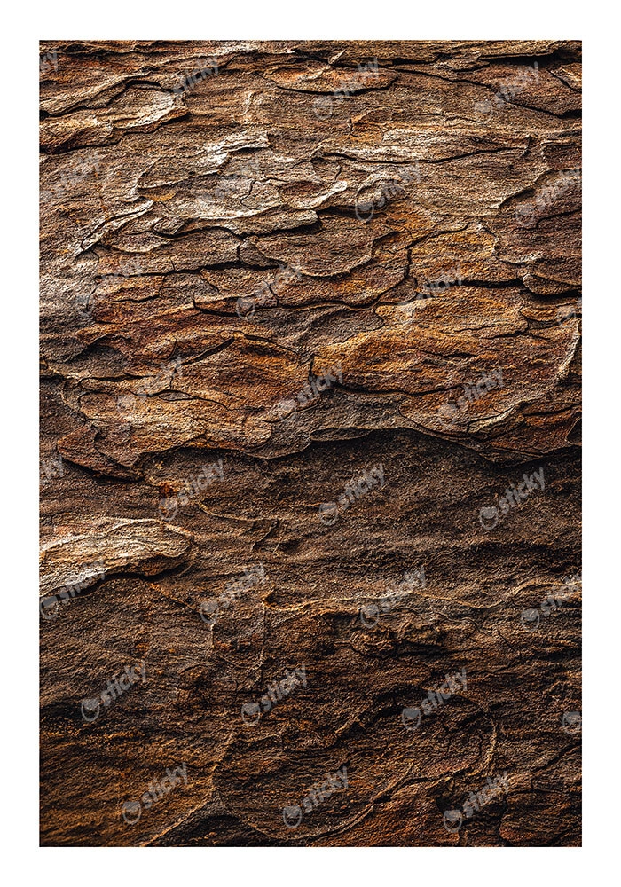 Poster RUSTIC FARMHOUSE WOOD TEXTURE 2