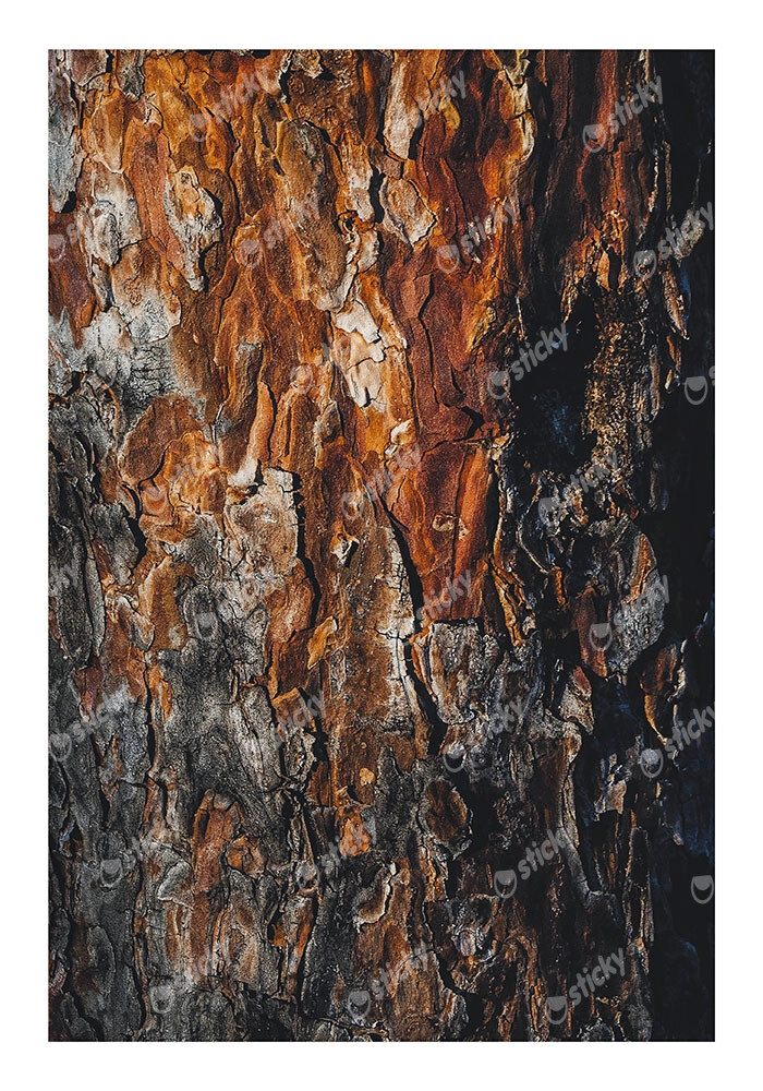 Poster RUSTIC FARMHOUSE WOOD TEXTURE 3