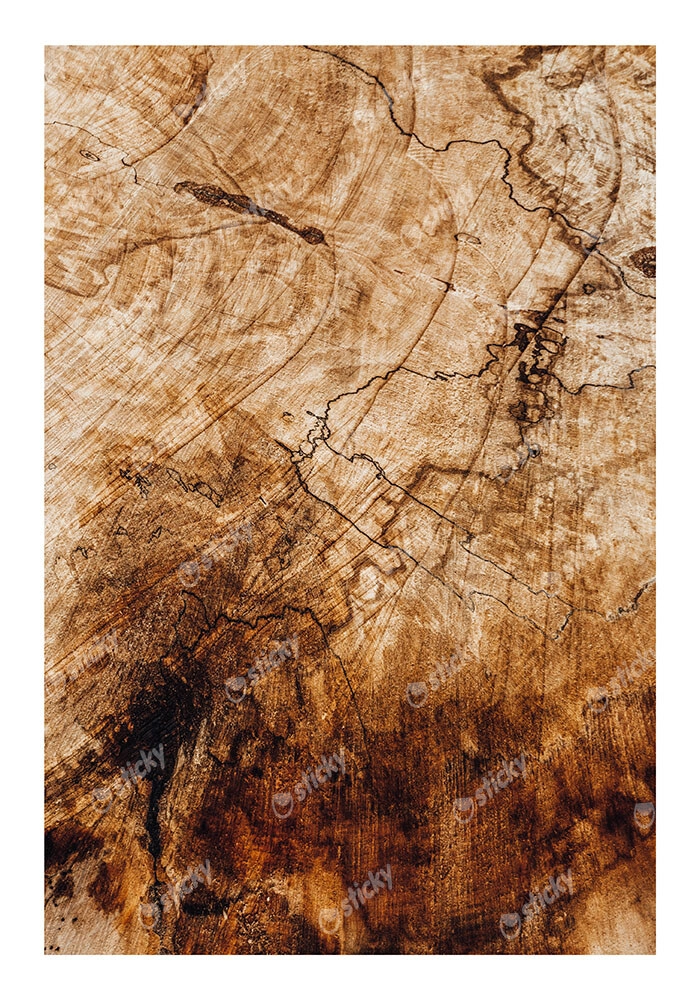 Poster RUSTIC FARMHOUSE WOOD TEXTURE