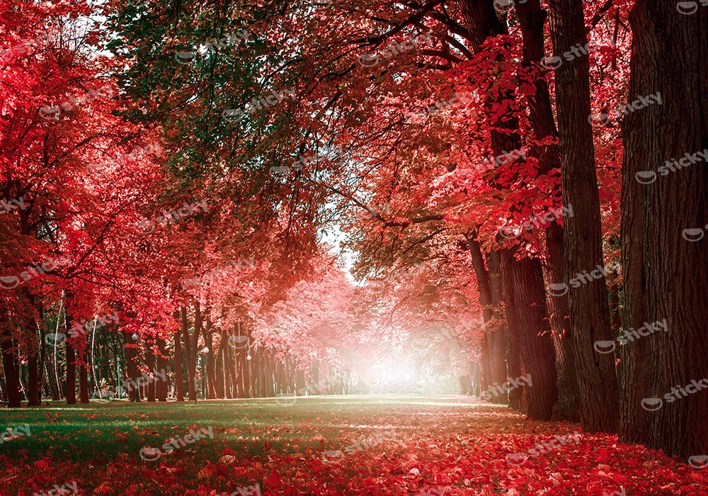 Πινακας σε καμβά AUTUMN MYSTERY ROMANTIC ALLEY