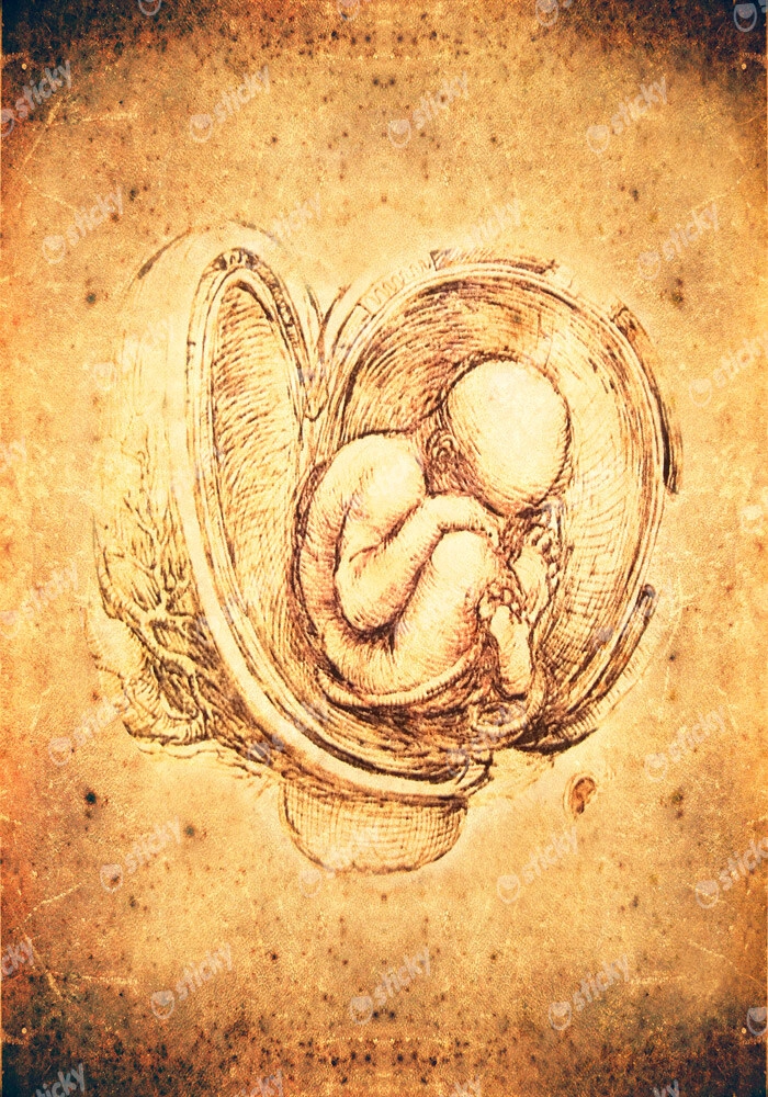 Πινακας σε καμβά DA VINCI - STYLE FETUS