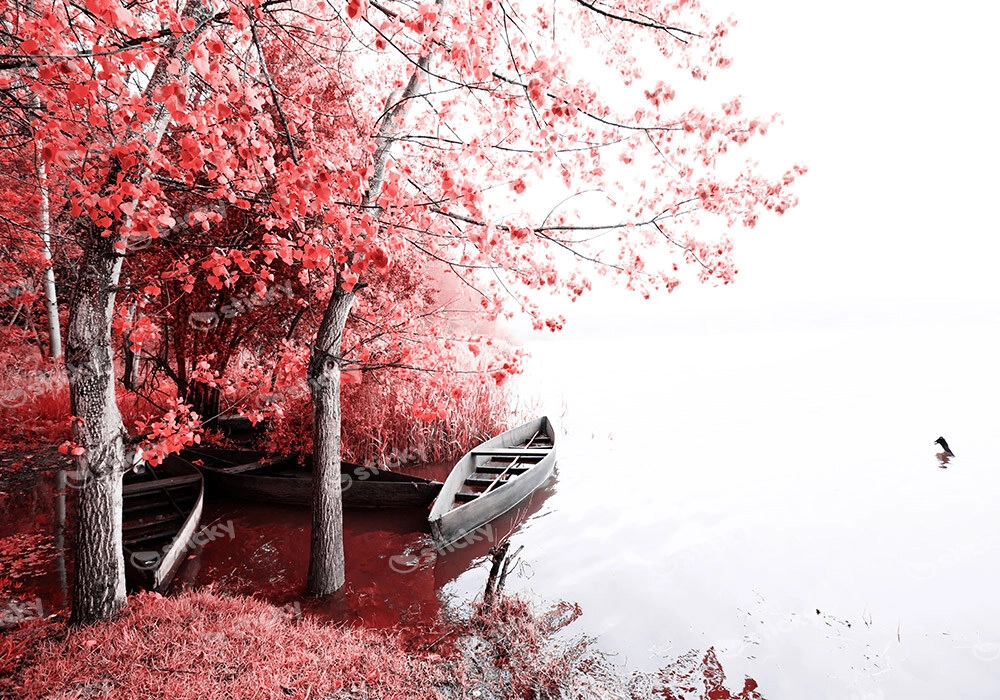 Πινακας σε καμβά FANTASY LAKE