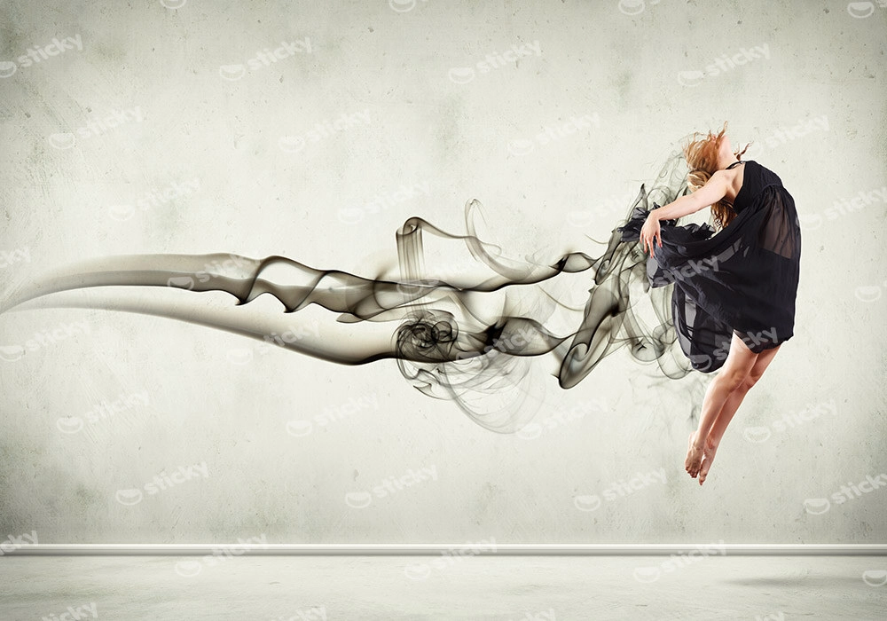 Πινακας σε καμβά FLY DANCE