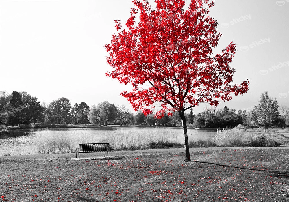 Πινακας σε καμβά PARK BENCH