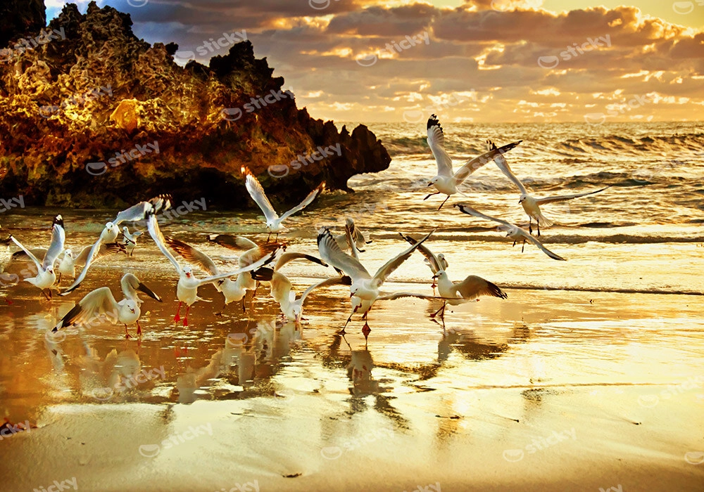 Πινακας σε καμβά ROCKS SUNSET