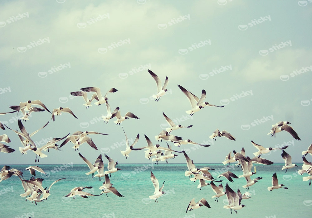Πινακας σε καμβά SEAGULLS OVER SEA