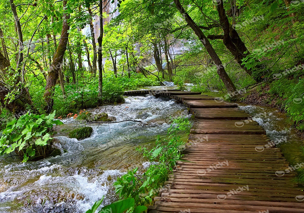 Πινακας σε καμβά WOODEN PATH