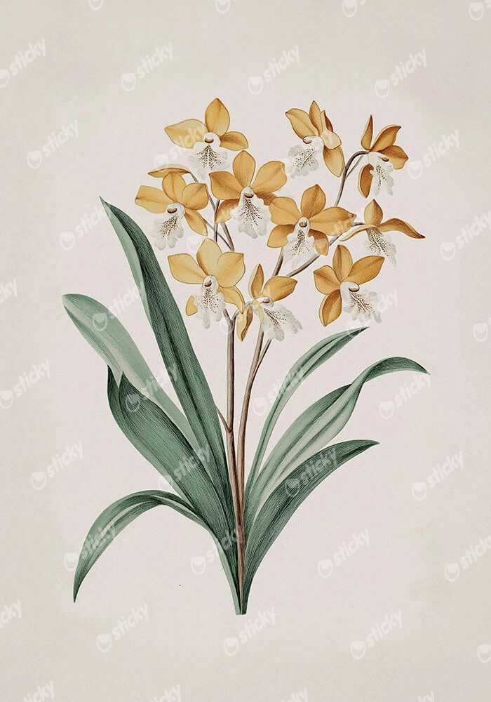 Πίνακας σε Καμβά ANTIQUE VINTAGE FLOWERS