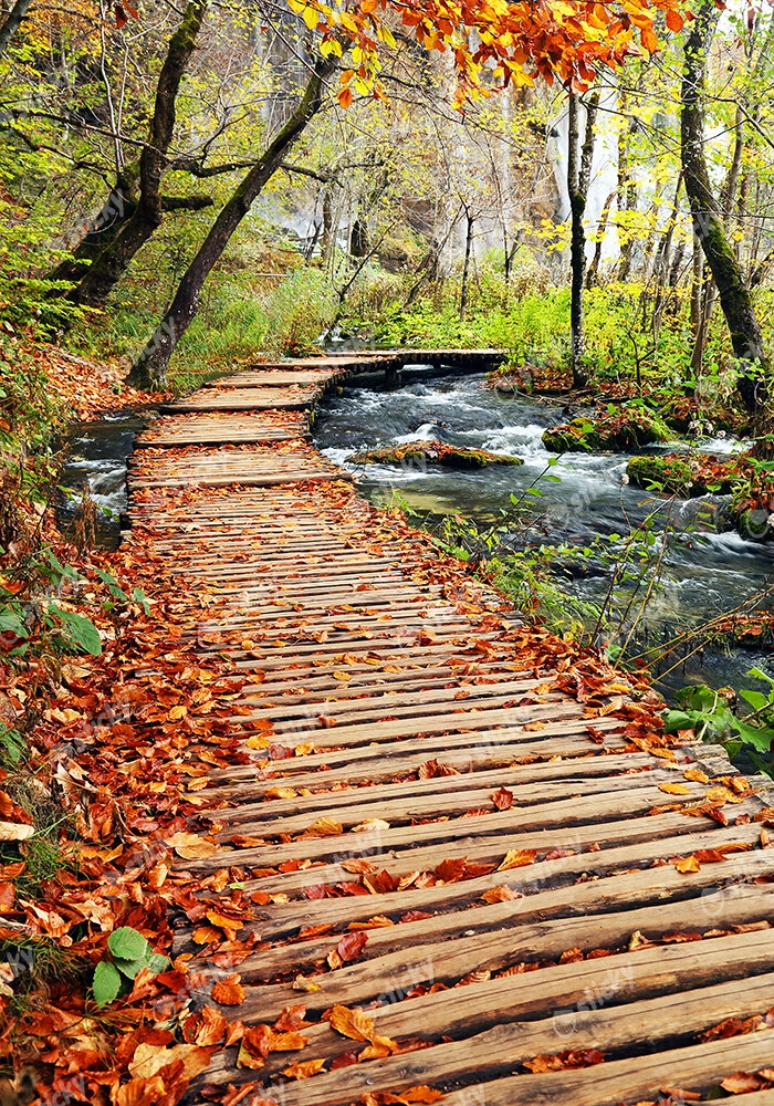 Πινακας σε καμβά AUTUMN COLOURS