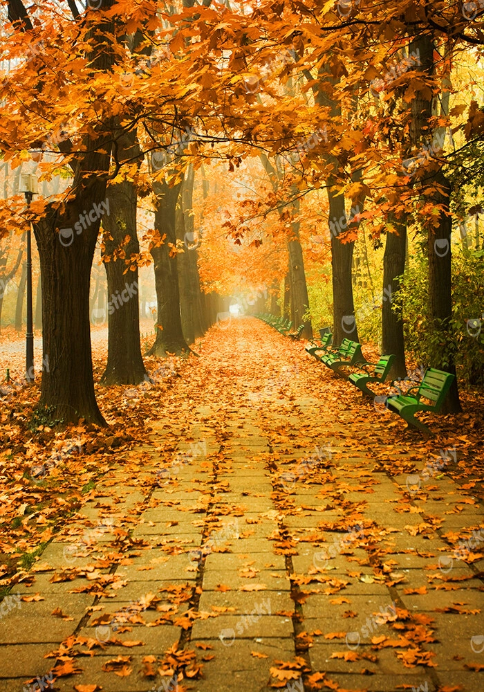 Πινακας σε καμβά AUTUMN SCENERY