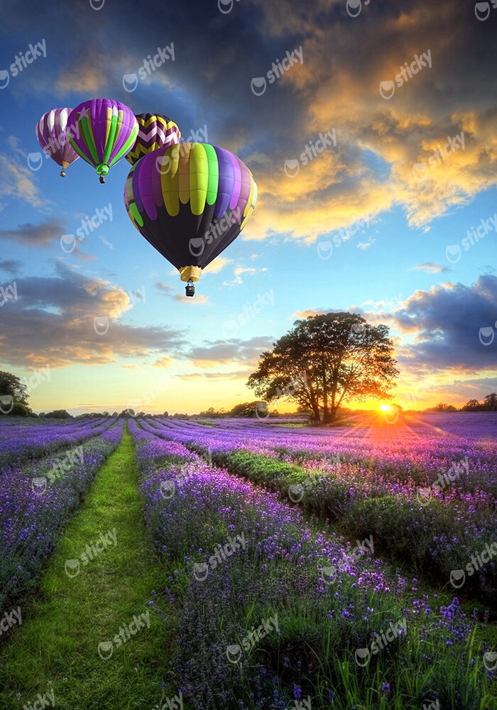 Πινακας σε καμβά BALLOONS