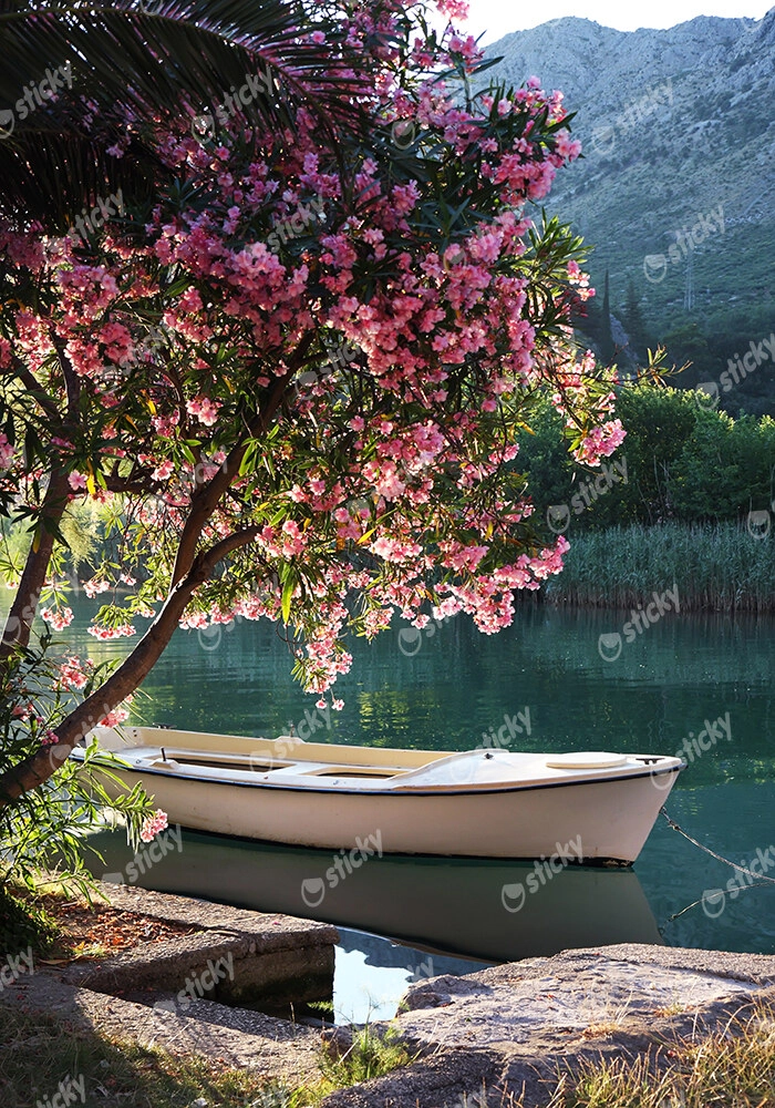 Πινακας σε καμβά LAKE 1