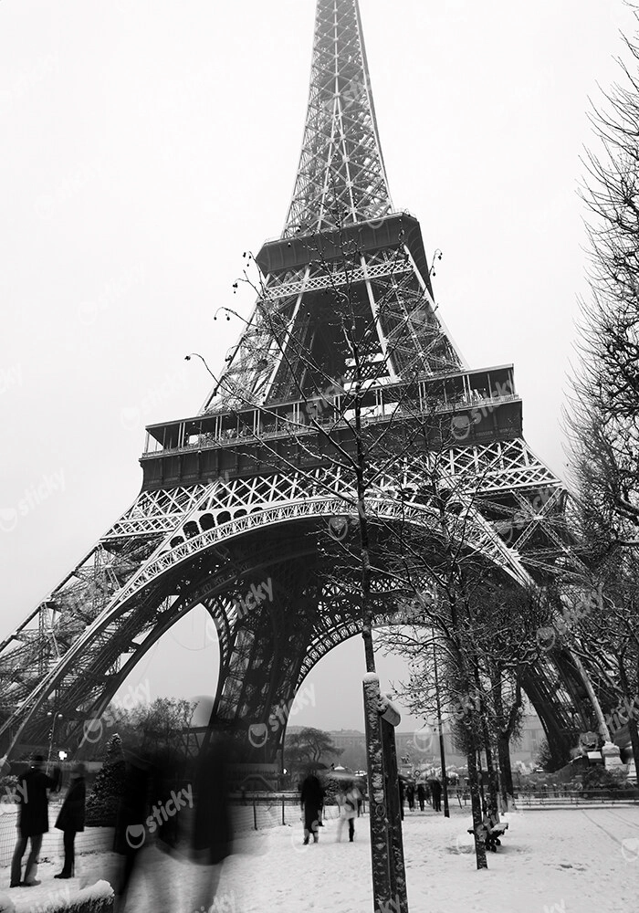 Πινακας σε καμβά SNOW EIFFEL