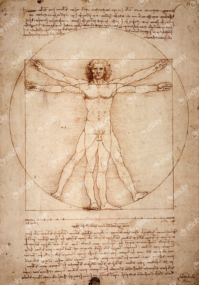 Πινακας σε καμβά DA VINCI - VITRUVIAN MAN