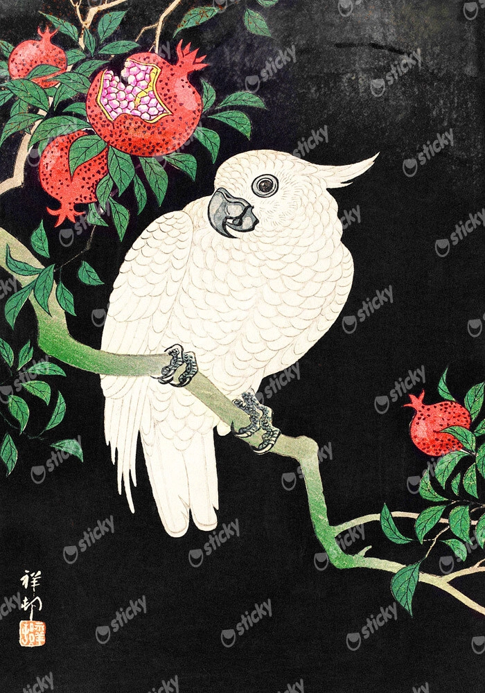 Πινακας σε καμβά COCKATOO AND POMEGRANATE