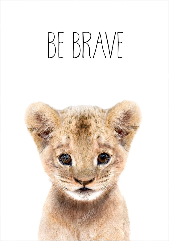 Πόστερ CUTE LION