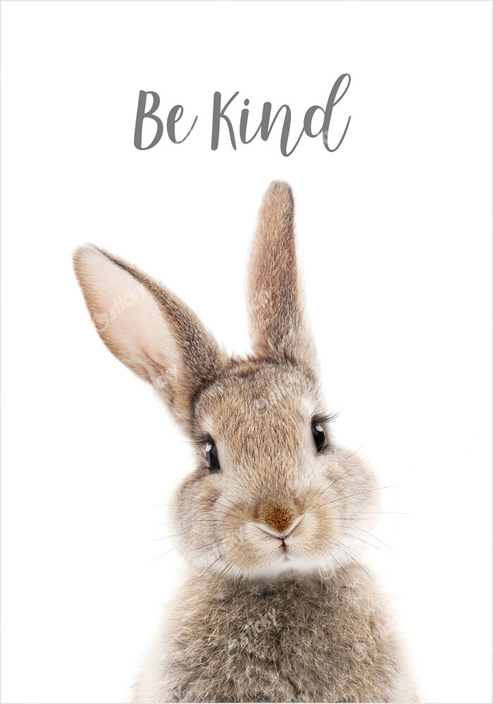 Πόστερ CUTE BUNNY