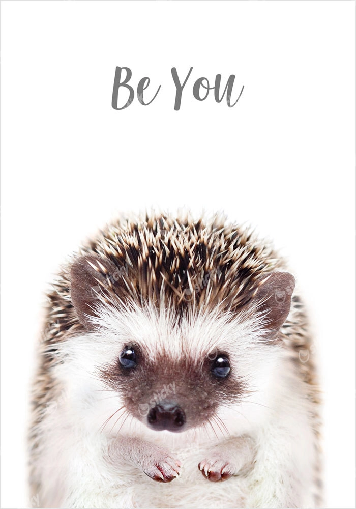 Πόστερ CUTE HEDGEHOG