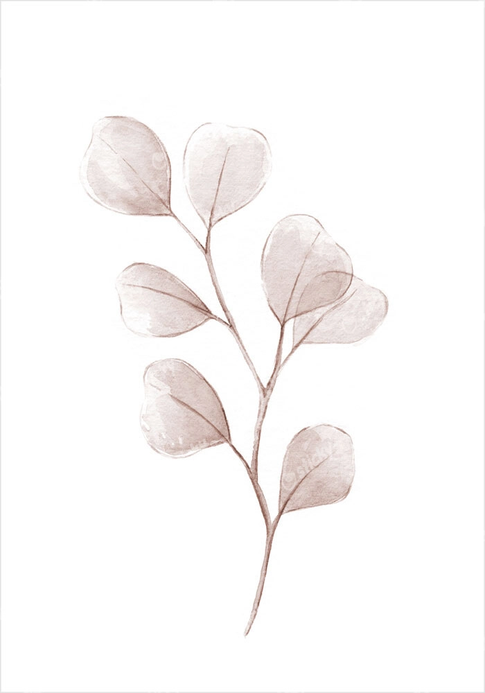 Πόστερ WATERCOLOR EUCALYPTUS LEAVES