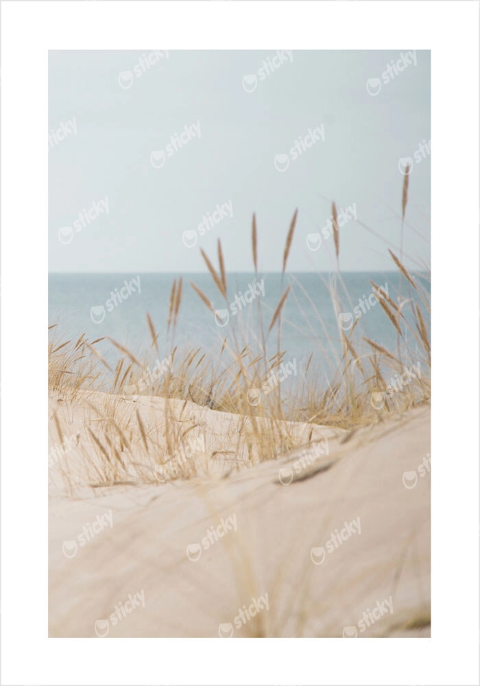 Πόστερ WHITE SAND DUNES