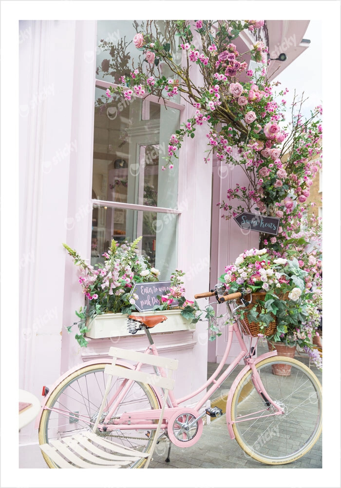 Πόστερ PINK BICYCLE