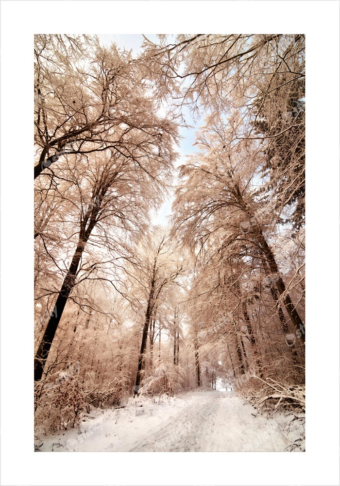 Πόστερ BEIGE WINTER FOREST