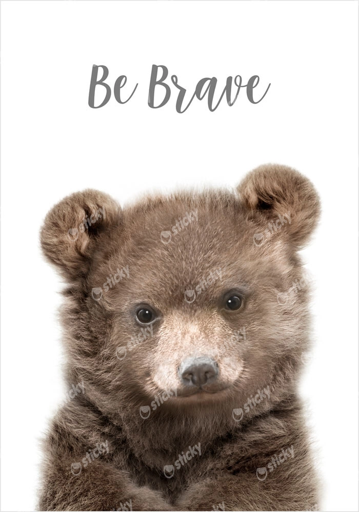 Πόστερ CUTE BEAR